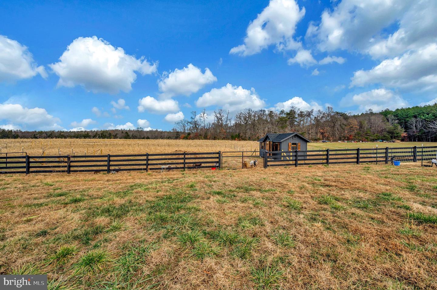 4600 ANNS LANE, BEALETON, Virginia 22712, 4 Bedrooms Bedrooms, ,2 BathroomsBathrooms,Residential,For sale,4600 ANNS LANE,VAFQ2019800 MLS # VAFQ2019800 4600 ANNS LANE, BEALETON, Virginia 22712, 4 Bedrooms Bedrooms, ,2 BathroomsBathrooms,Residential,For sale,4600 ANNS LANE,VAFQ2019800 MLS # VAFQ2019800