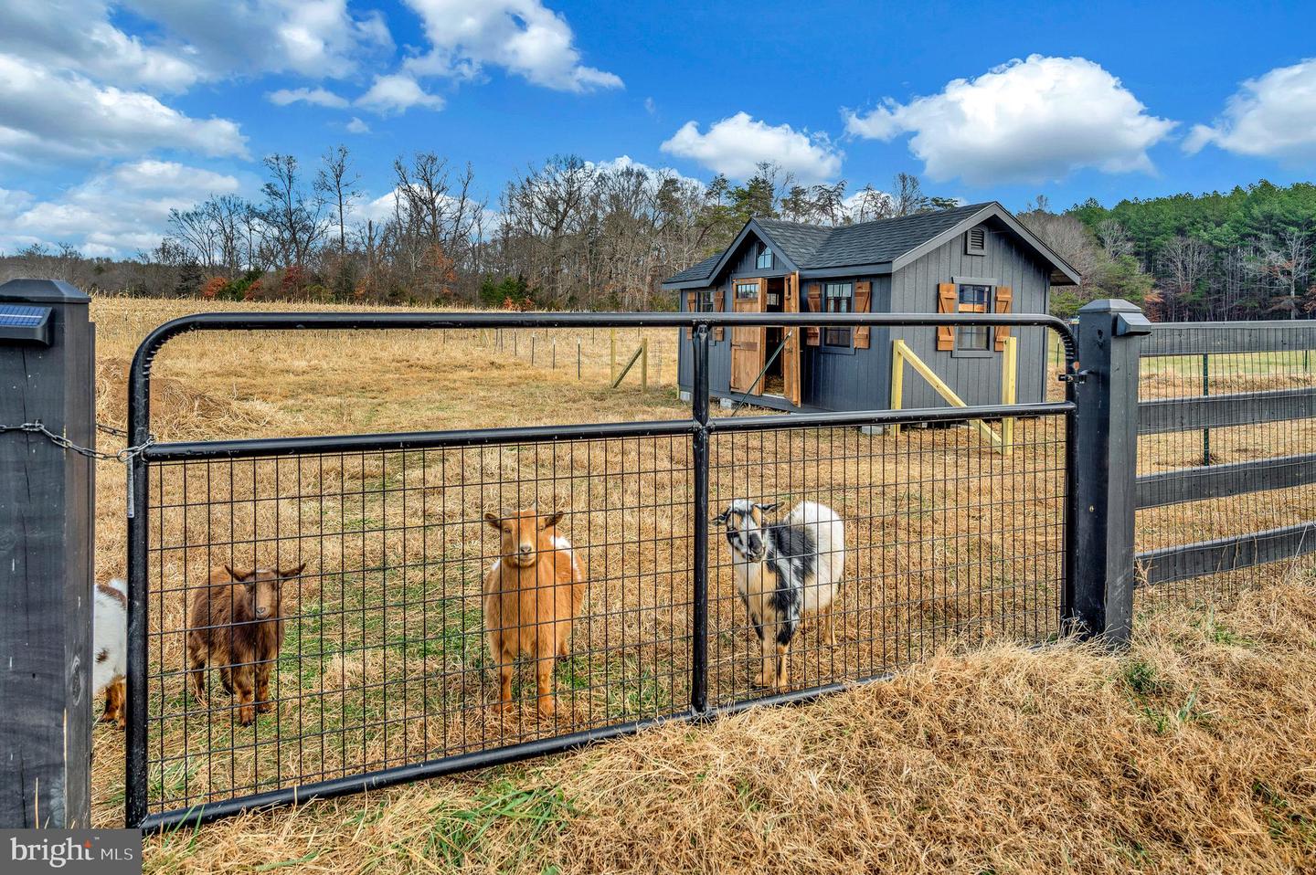 4600 ANNS LANE, BEALETON, Virginia 22712, 4 Bedrooms Bedrooms, ,2 BathroomsBathrooms,Residential,For sale,4600 ANNS LANE,VAFQ2019800 MLS # VAFQ2019800 4600 ANNS LANE, BEALETON, Virginia 22712, 4 Bedrooms Bedrooms, ,2 BathroomsBathrooms,Residential,For sale,4600 ANNS LANE,VAFQ2019800 MLS # VAFQ2019800