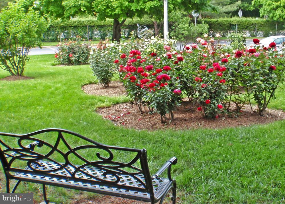 2059 HUNTINGTON AVE #903, ALEXANDRIA, Virginia 22303, 1 Bedroom Bedrooms, ,1 BathroomBathrooms,Residential,For sale,2059 HUNTINGTON AVE #903,VAFX2281526 MLS # VAFX2281526