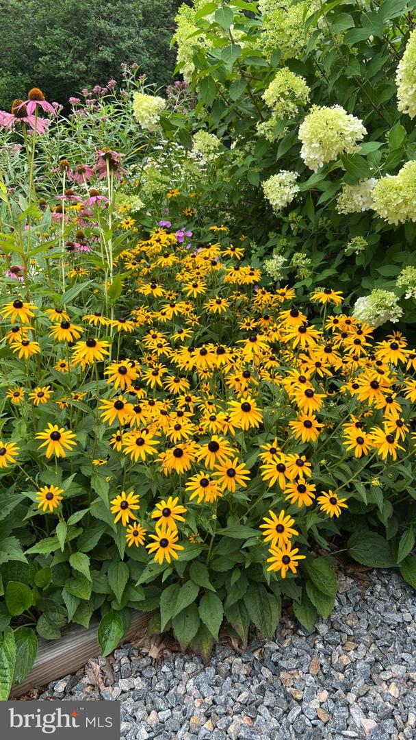 13403 ALVA BROOKS LN, SPOTSYLVANIA, Virginia 22551, 3 Bedrooms Bedrooms, 5 Rooms Rooms,2 BathroomsBathrooms,Residential,For sale,13403 ALVA BROOKS LN,VASP2037978 MLS # VASP2037978