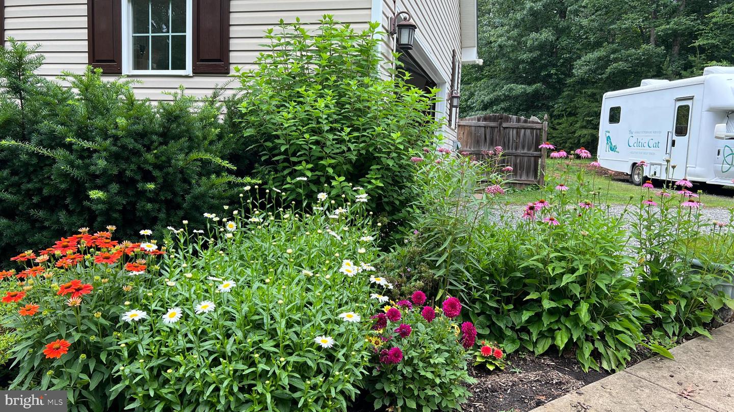 13403 ALVA BROOKS LN, SPOTSYLVANIA, Virginia 22551, 3 Bedrooms Bedrooms, 5 Rooms Rooms,2 BathroomsBathrooms,Residential,For sale,13403 ALVA BROOKS LN,VASP2037978 MLS # VASP2037978