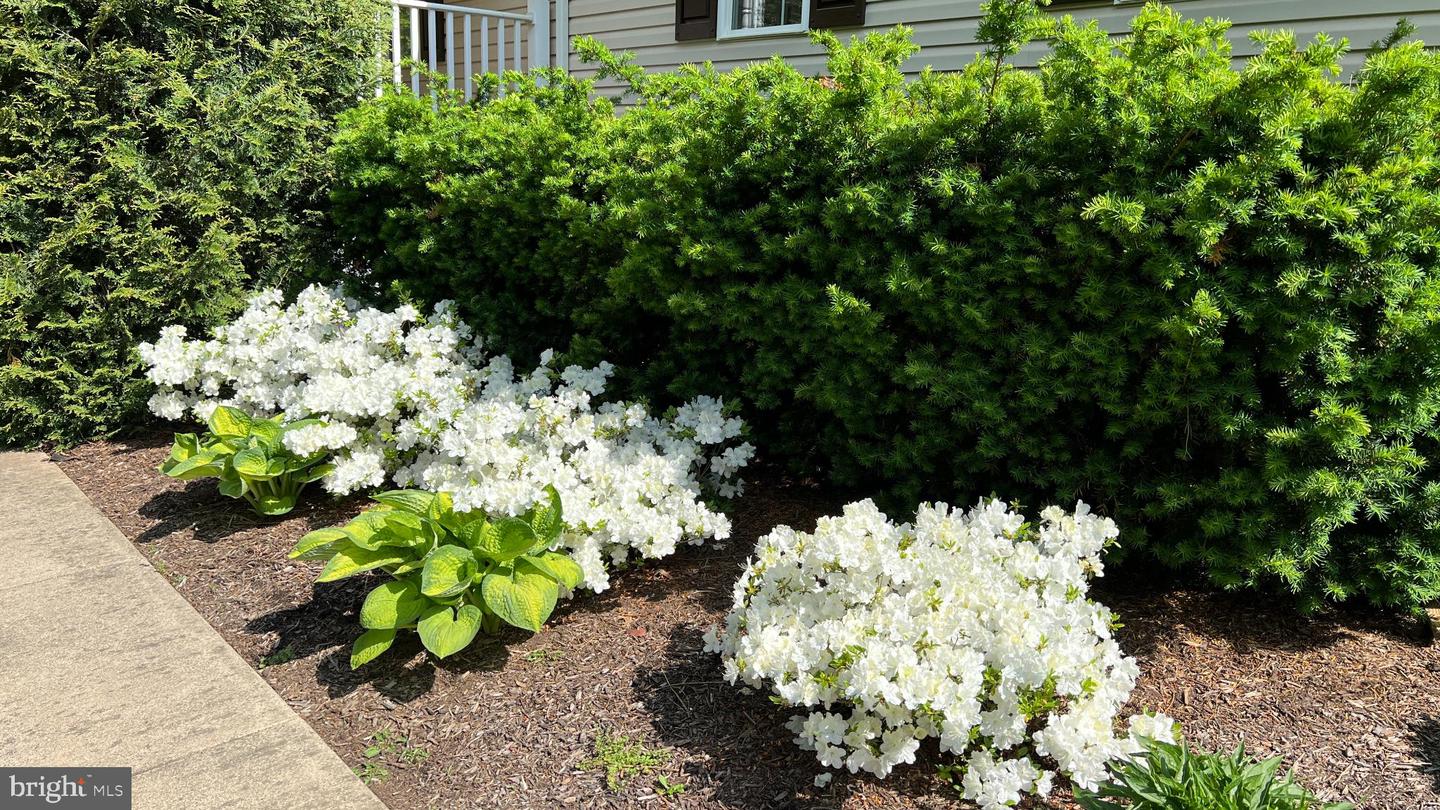 13403 ALVA BROOKS LN, SPOTSYLVANIA, Virginia 22551, 3 Bedrooms Bedrooms, 5 Rooms Rooms,2 BathroomsBathrooms,Residential,For sale,13403 ALVA BROOKS LN,VASP2037978 MLS # VASP2037978