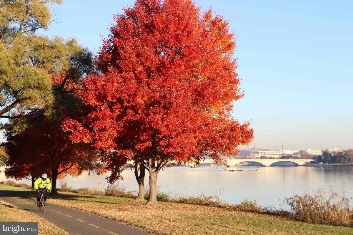 8531 MOUNT VERNON HWY, ALEXANDRIA, Virginia 22309, 5 Bedrooms Bedrooms, ,3 BathroomsBathrooms,Residential,For sale,8531 MOUNT VERNON HWY,VAFX2281706 MLS # VAFX2281706 8531 MOUNT VERNON HWY, ALEXANDRIA, Virginia 22309, 5 Bedrooms Bedrooms, ,3 BathroomsBathrooms,Residential,For sale,8531 MOUNT VERNON HWY,VAFX2281706 MLS # VAFX2281706