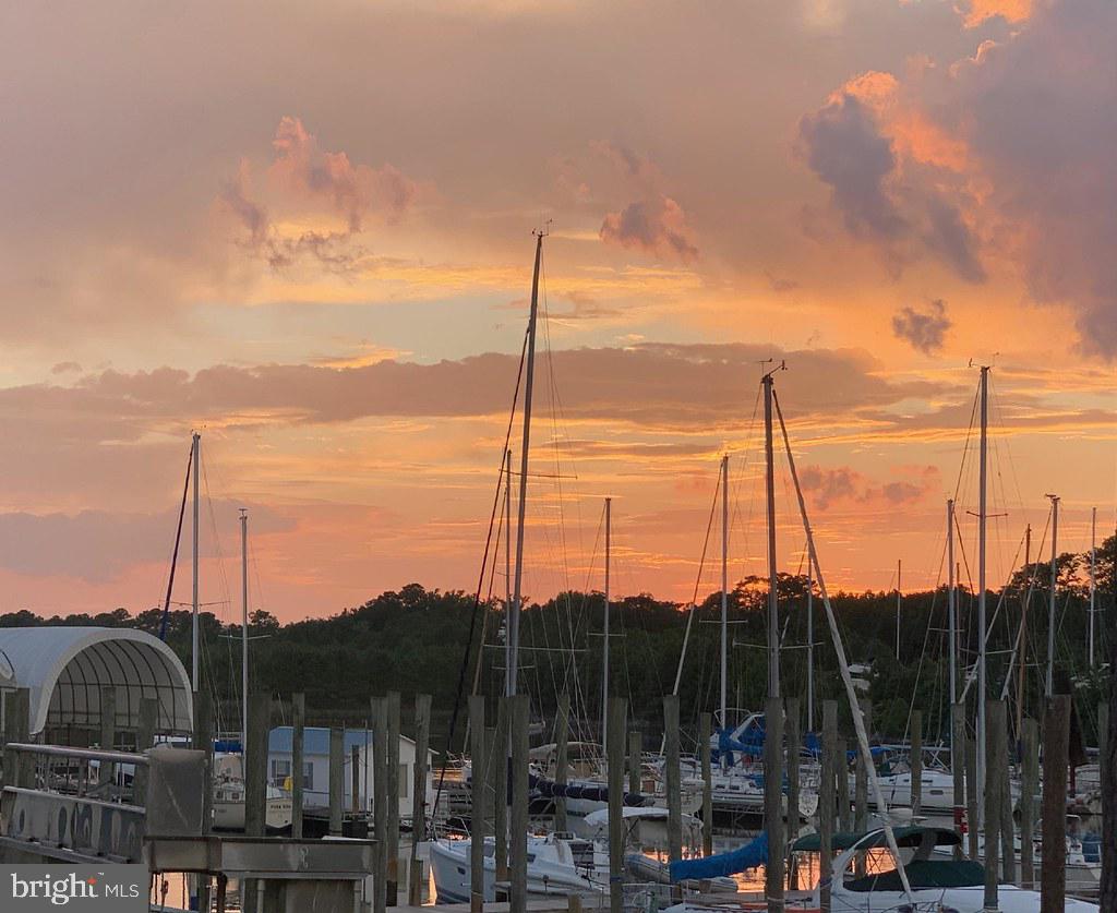 8531 MOUNT VERNON HWY, ALEXANDRIA, Virginia 22309, 5 Bedrooms Bedrooms, ,3 BathroomsBathrooms,Residential,For sale,8531 MOUNT VERNON HWY,VAFX2281706 MLS # VAFX2281706 8531 MOUNT VERNON HWY, ALEXANDRIA, Virginia 22309, 5 Bedrooms Bedrooms, ,3 BathroomsBathrooms,Residential,For sale,8531 MOUNT VERNON HWY,VAFX2281706 MLS # VAFX2281706