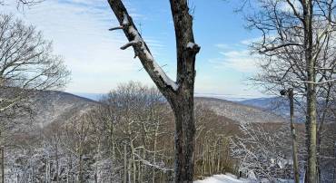 21 TYRO LN, WINTERGREEN RESORT, Virginia 22967, 3 Bedrooms Bedrooms, ,2 BathroomsBathrooms,Residential,For sale,21 TYRO LN,671659 MLS # 671659