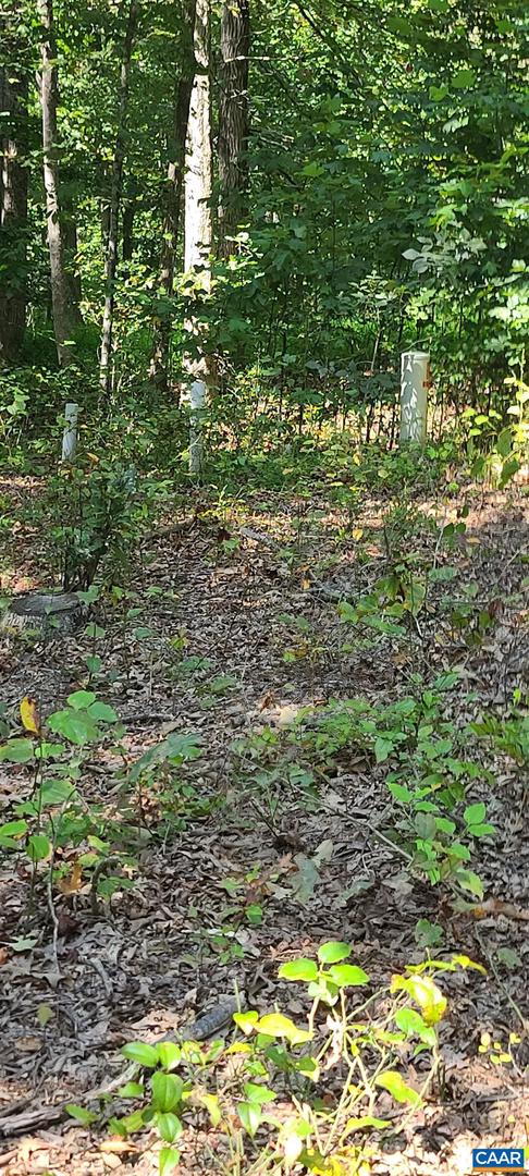 12 LANGDON WOODS DR, DYKE, Virginia 22935, 3 Bedrooms Bedrooms, ,2 BathroomsBathrooms,Residential,For sale,12 LANGDON WOODS DR,671671 MLS # 671671