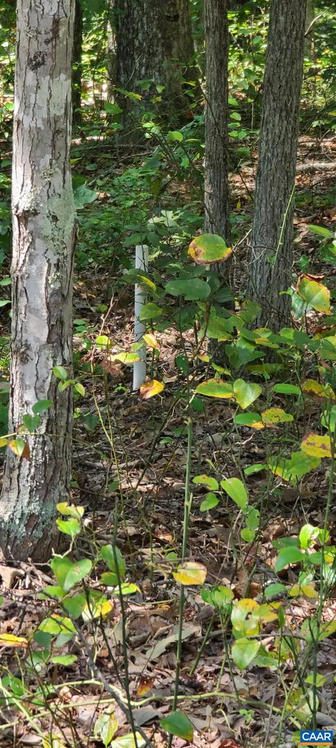 12 LANGDON WOODS DR, DYKE, Virginia 22935, 3 Bedrooms Bedrooms, ,2 BathroomsBathrooms,Residential,For sale,12 LANGDON WOODS DR,671671 MLS # 671671