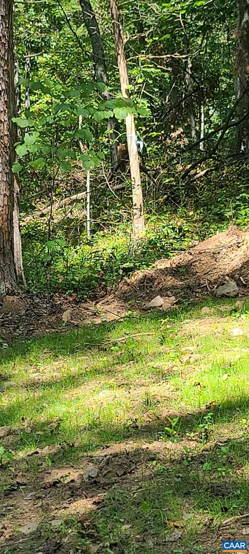 12 LANGDON WOODS DR, DYKE, Virginia 22935, 3 Bedrooms Bedrooms, ,2 BathroomsBathrooms,Residential,For sale,12 LANGDON WOODS DR,671671 MLS # 671671