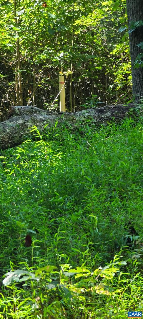 12 LANGDON WOODS DR, DYKE, Virginia 22935, 3 Bedrooms Bedrooms, ,2 BathroomsBathrooms,Residential,For sale,12 LANGDON WOODS DR,671671 MLS # 671671