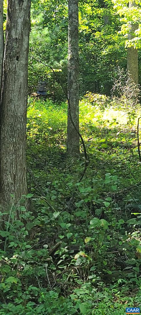 12 LANGDON WOODS DR, DYKE, Virginia 22935, 3 Bedrooms Bedrooms, ,2 BathroomsBathrooms,Residential,For sale,12 LANGDON WOODS DR,671671 MLS # 671671