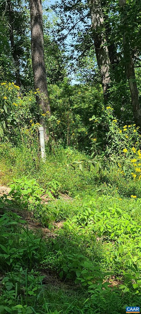 12 LANGDON WOODS DR, DYKE, Virginia 22935, 3 Bedrooms Bedrooms, ,2 BathroomsBathrooms,Residential,For sale,12 LANGDON WOODS DR,671671 MLS # 671671