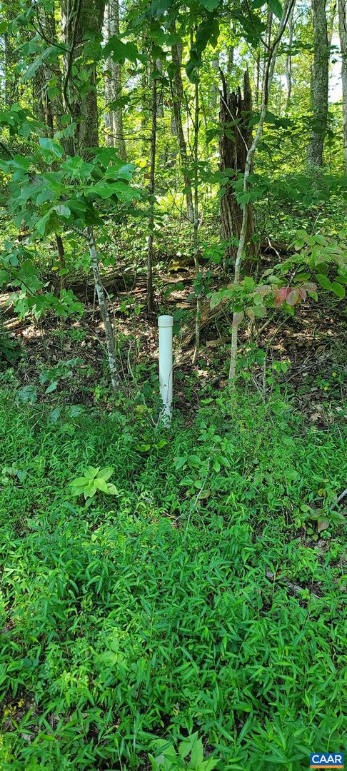 12 LANGDON WOODS DR, DYKE, Virginia 22935, 3 Bedrooms Bedrooms, ,2 BathroomsBathrooms,Residential,For sale,12 LANGDON WOODS DR,671671 MLS # 671671