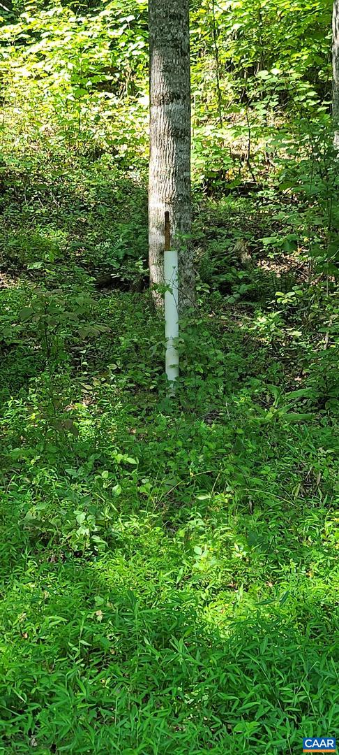 12 LANGDON WOODS DR, DYKE, Virginia 22935, 3 Bedrooms Bedrooms, ,2 BathroomsBathrooms,Residential,For sale,12 LANGDON WOODS DR,671671 MLS # 671671