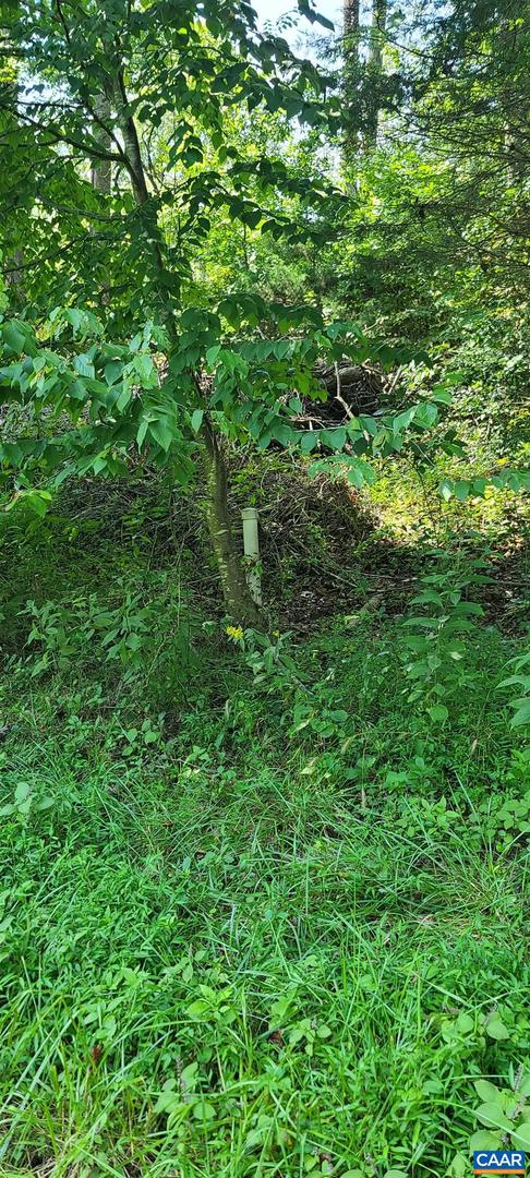 12 LANGDON WOODS DR, DYKE, Virginia 22935, 3 Bedrooms Bedrooms, ,2 BathroomsBathrooms,Residential,For sale,12 LANGDON WOODS DR,671671 MLS # 671671