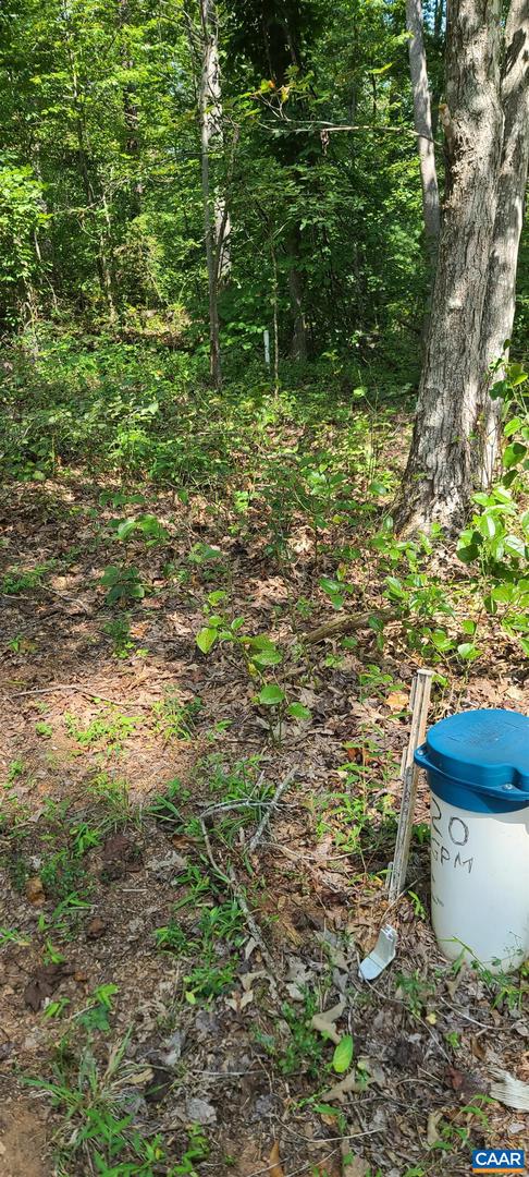 12 LANGDON WOODS DR, DYKE, Virginia 22935, 3 Bedrooms Bedrooms, ,2 BathroomsBathrooms,Residential,For sale,12 LANGDON WOODS DR,671671 MLS # 671671