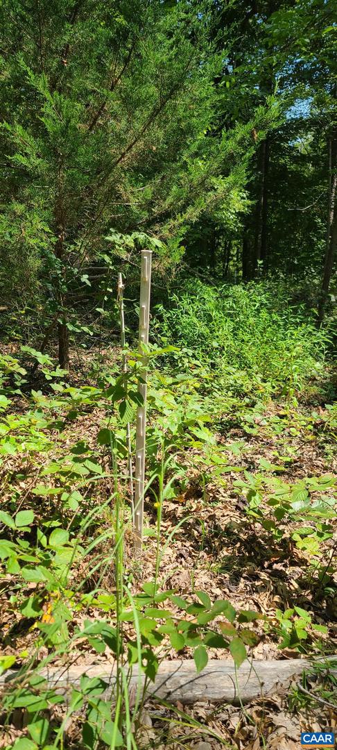 12 LANGDON WOODS DR, DYKE, Virginia 22935, 3 Bedrooms Bedrooms, ,2 BathroomsBathrooms,Residential,For sale,12 LANGDON WOODS DR,671671 MLS # 671671