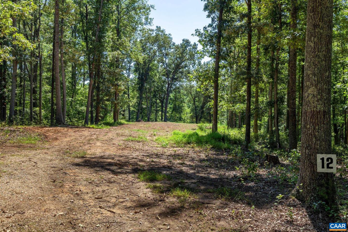 12 LANGDON WOODS DR, DYKE, Virginia 22935, 3 Bedrooms Bedrooms, ,2 BathroomsBathrooms,Residential,For sale,12 LANGDON WOODS DR,671671 MLS # 671671