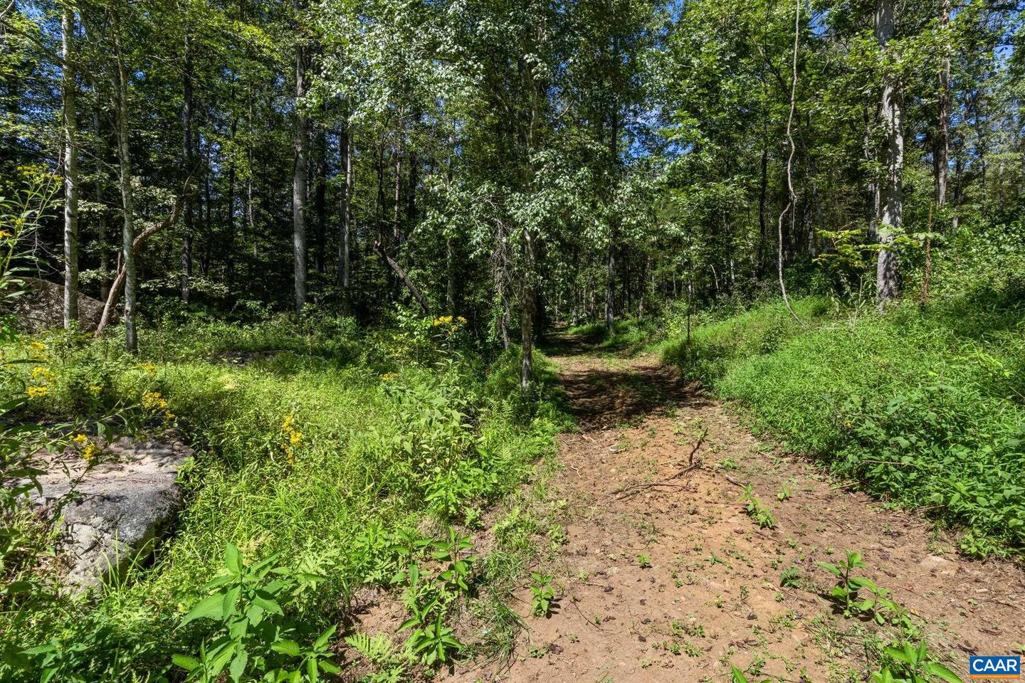 12 LANGDON WOODS DR, DYKE, Virginia 22935, 3 Bedrooms Bedrooms, ,2 BathroomsBathrooms,Residential,For sale,12 LANGDON WOODS DR,671671 MLS # 671671