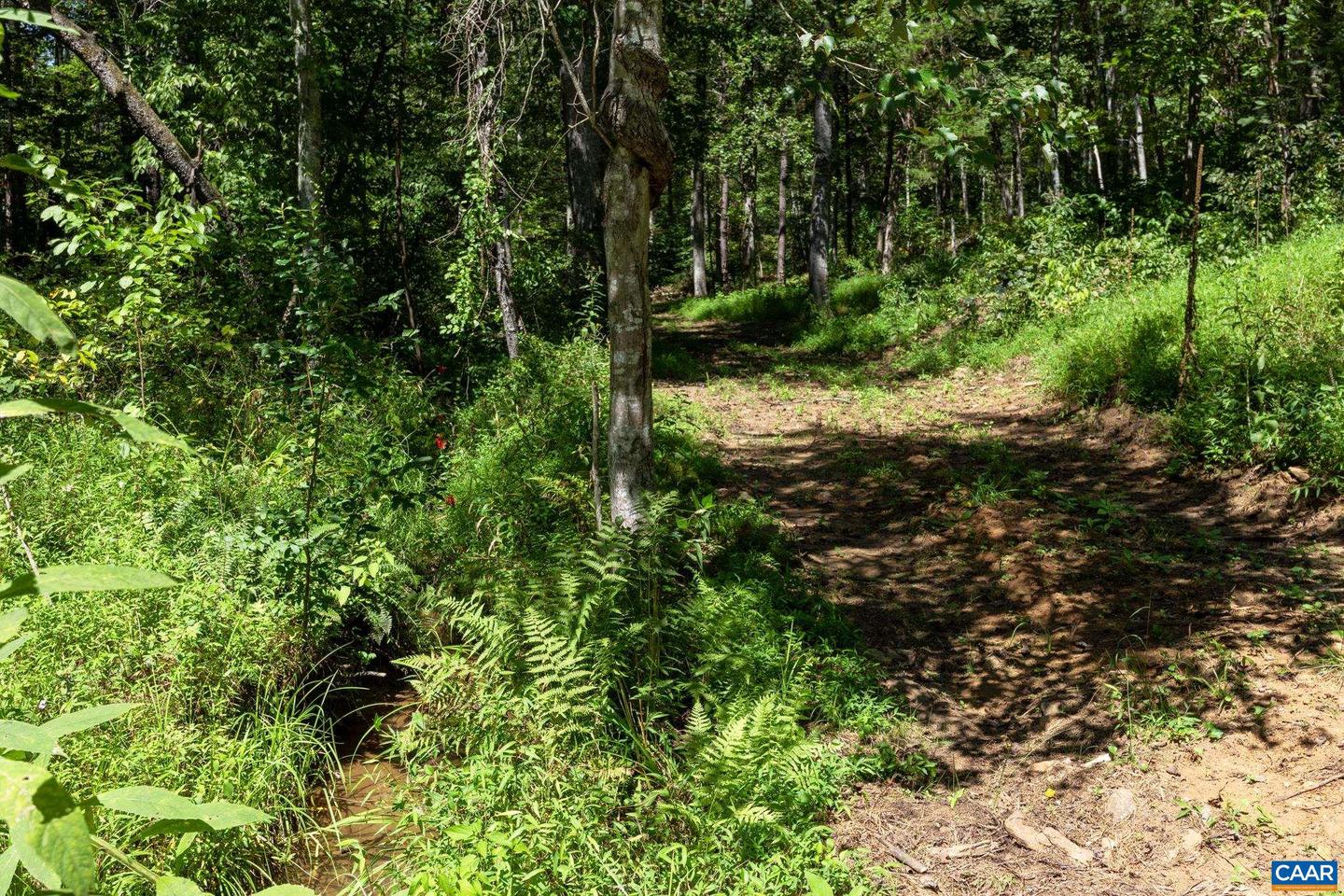 12 LANGDON WOODS DR, DYKE, Virginia 22935, 3 Bedrooms Bedrooms, ,2 BathroomsBathrooms,Residential,For sale,12 LANGDON WOODS DR,671671 MLS # 671671