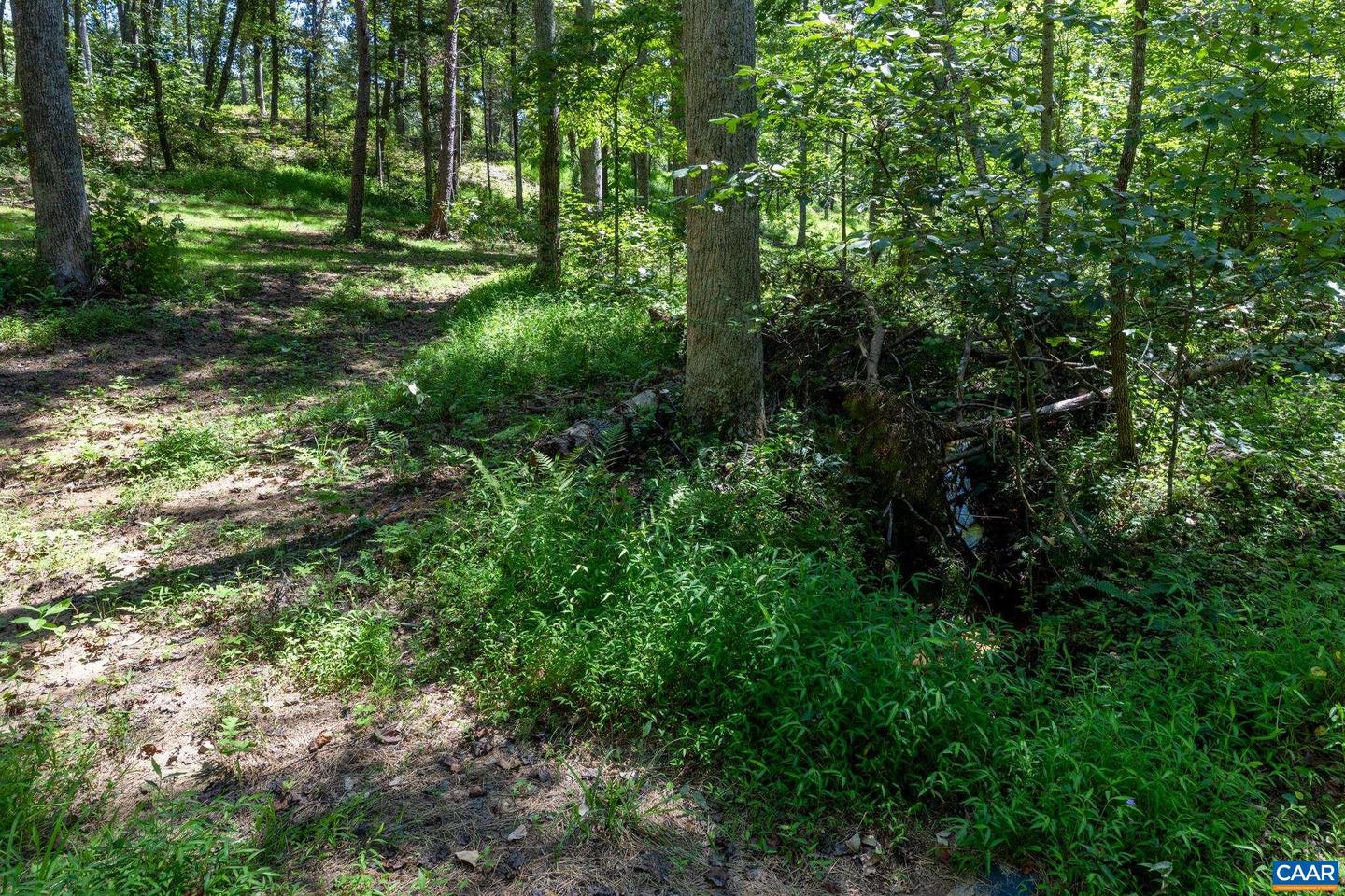 12 LANGDON WOODS DR, DYKE, Virginia 22935, 3 Bedrooms Bedrooms, ,2 BathroomsBathrooms,Residential,For sale,12 LANGDON WOODS DR,671671 MLS # 671671