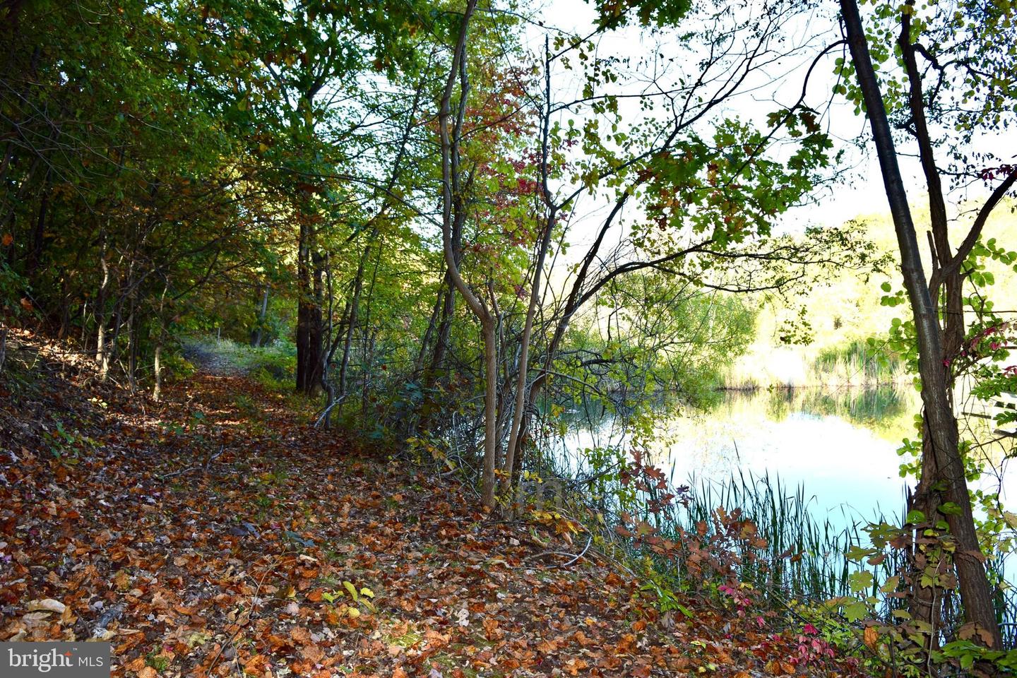 88 PICKFORD CT, FRONT ROYAL, Virginia 22630, 3 Bedrooms Bedrooms, ,2 BathroomsBathrooms,Residential,For sale,88 PICKFORD CT,VAWR2012922 MLS # VAWR2012922 88 PICKFORD CT, FRONT ROYAL, Virginia 22630, 3 Bedrooms Bedrooms, ,2 BathroomsBathrooms,Residential,For sale,88 PICKFORD CT,VAWR2012922 MLS # VAWR2012922