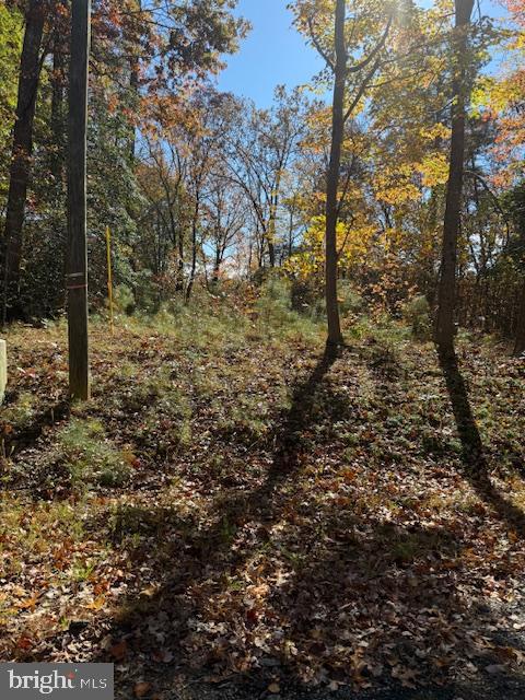 30 ARTHUR, MONTROSS, Virginia 22520, ,Land,For sale,30 ARTHUR,VAWE2010084 MLS # VAWE2010084 30 ARTHUR, MONTROSS, Virginia 22520, ,Land,For sale,30 ARTHUR,VAWE2010084 MLS # VAWE2010084