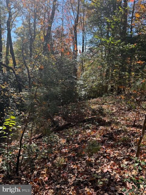 30 ARTHUR, MONTROSS, Virginia 22520, ,Land,For sale,30 ARTHUR,VAWE2010084 MLS # VAWE2010084 30 ARTHUR, MONTROSS, Virginia 22520, ,Land,For sale,30 ARTHUR,VAWE2010084 MLS # VAWE2010084