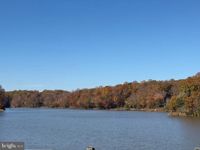 30 ARTHUR, MONTROSS, Virginia 22520, ,Land,For sale,30 ARTHUR,VAWE2010084 MLS # VAWE2010084 30 ARTHUR, MONTROSS, Virginia 22520, ,Land,For sale,30 ARTHUR,VAWE2010084 MLS # VAWE2010084