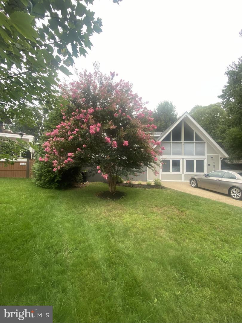 7822 HOLMES RUN DR, FALLS CHURCH, Virginia 22042, 3 Bedrooms Bedrooms, ,2 BathroomsBathrooms,Residential,For sale,7822 HOLMES RUN DR,VAFX2277224 MLS # VAFX2277224 7822 HOLMES RUN DR, FALLS CHURCH, Virginia 22042, 3 Bedrooms Bedrooms, ,2 BathroomsBathrooms,Residential,For sale,7822 HOLMES RUN DR,VAFX2277224 MLS # VAFX2277224