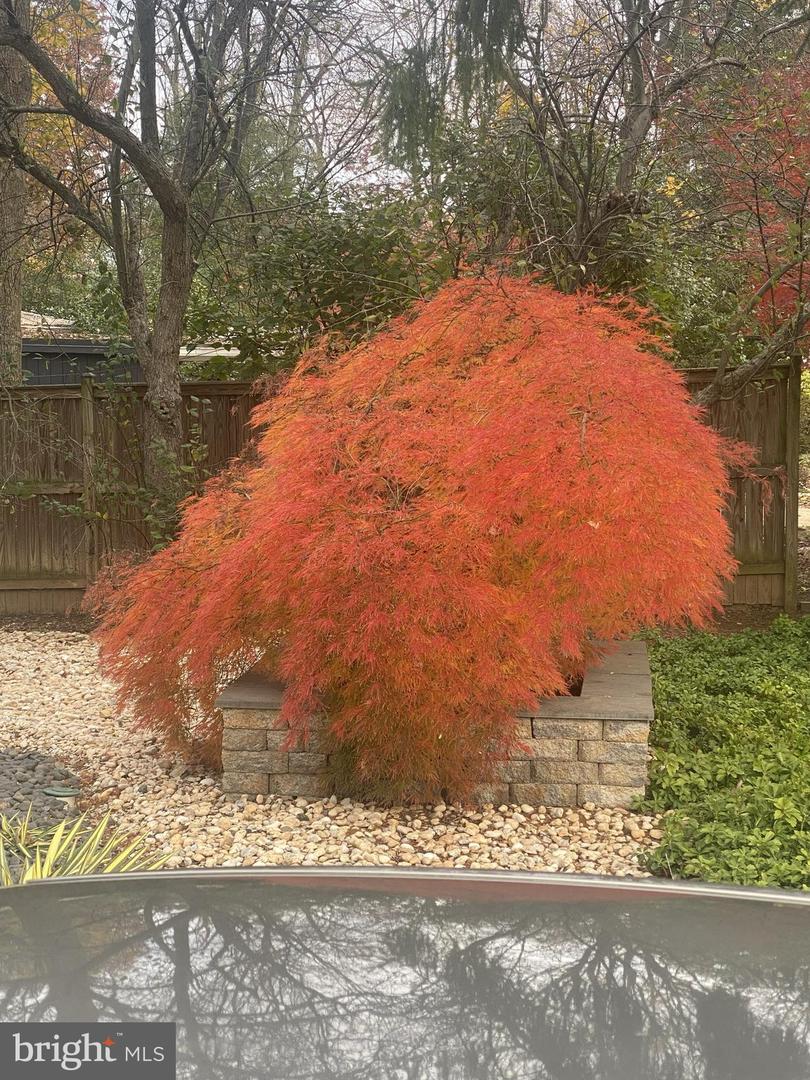 7822 HOLMES RUN DR, FALLS CHURCH, Virginia 22042, 3 Bedrooms Bedrooms, ,2 BathroomsBathrooms,Residential,For sale,7822 HOLMES RUN DR,VAFX2277224 MLS # VAFX2277224 7822 HOLMES RUN DR, FALLS CHURCH, Virginia 22042, 3 Bedrooms Bedrooms, ,2 BathroomsBathrooms,Residential,For sale,7822 HOLMES RUN DR,VAFX2277224 MLS # VAFX2277224