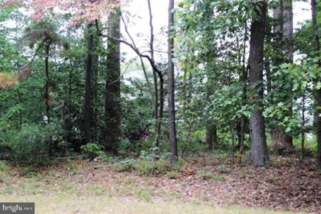 56 TRIDENT CT, GREENBACKVILLE, Virginia 23356, ,Land,For sale,56 TRIDENT CT,VAAC2002446 MLS # VAAC2002446 56 TRIDENT CT, GREENBACKVILLE, Virginia 23356, ,Land,For sale,56 TRIDENT CT,VAAC2002446 MLS # VAAC2002446