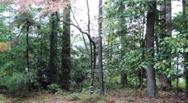 56 TRIDENT CT, GREENBACKVILLE, Virginia 23356, ,Land,For sale,56 TRIDENT CT,VAAC2002446 MLS # VAAC2002446