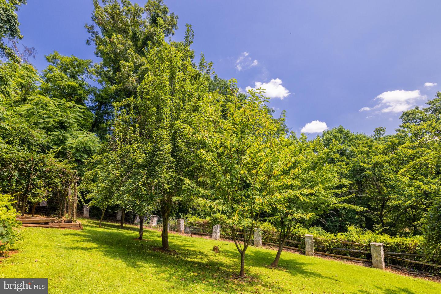 548 RIVER BEND RD, GREAT FALLS, Virginia 22066, 4 Bedrooms Bedrooms, ,5 BathroomsBathrooms,Residential,For sale,548 RIVER BEND RD,VAFX2261286 MLS # VAFX2261286