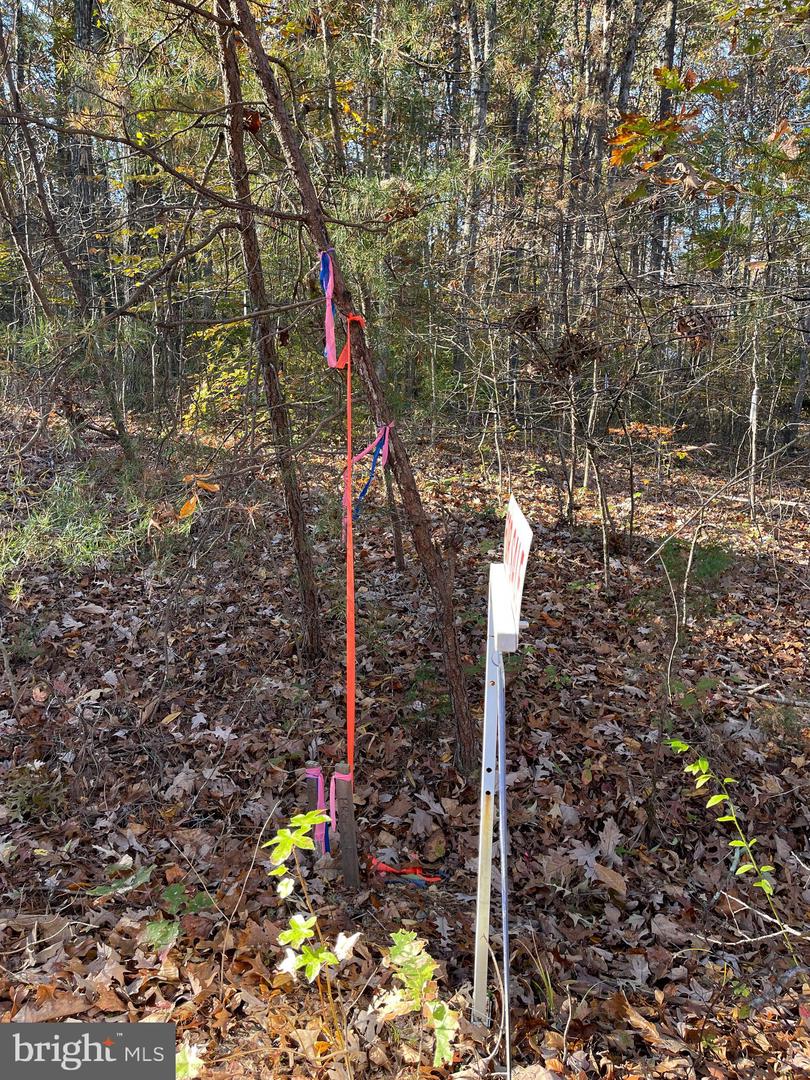 7120 DOMINIQUE DR, SPOTSYLVANIA, Virginia 22551, ,Land,For sale,7120 DOMINIQUE DR,VASP2034992 MLS # VASP2034992 7120 DOMINIQUE DR, SPOTSYLVANIA, Virginia 22551, ,Land,For sale,7120 DOMINIQUE DR,VASP2034992 MLS # VASP2034992