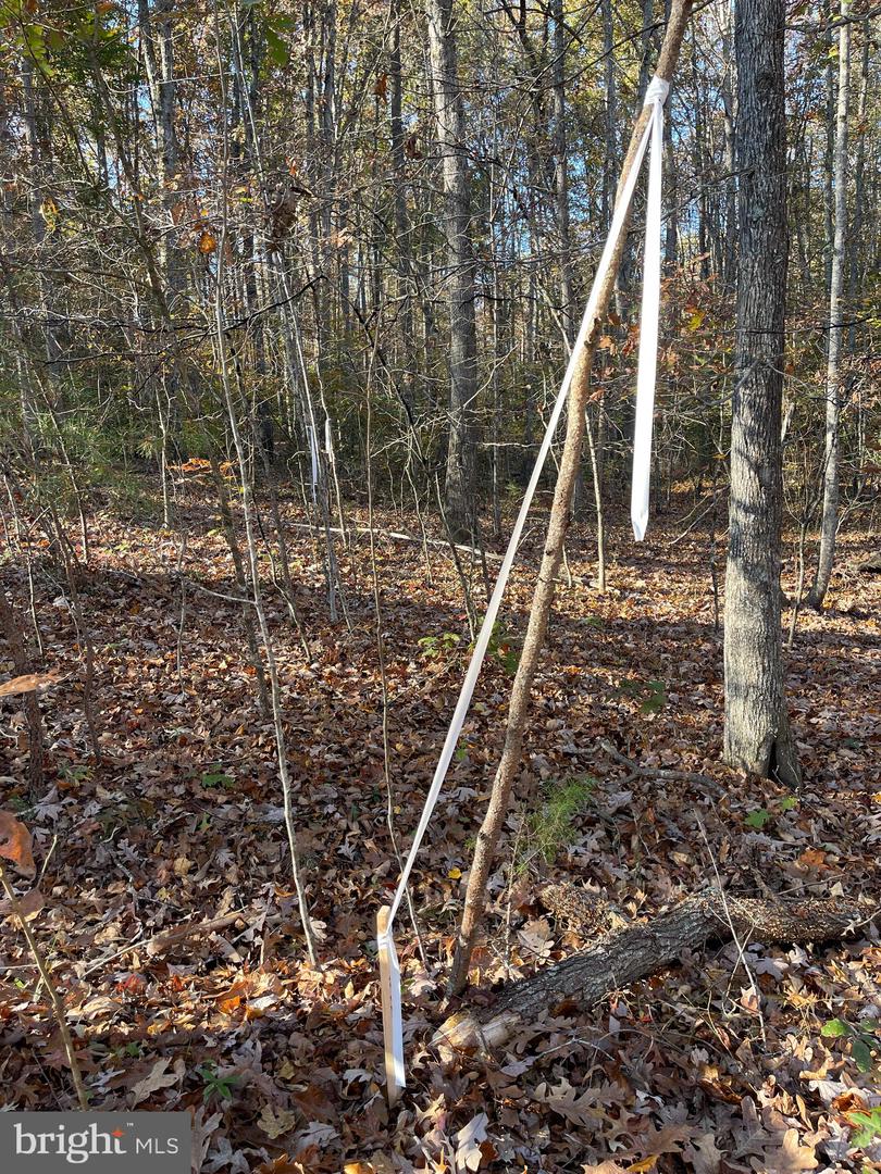 7120 DOMINIQUE DR, SPOTSYLVANIA, Virginia 22551, ,Land,For sale,7120 DOMINIQUE DR,VASP2034992 MLS # VASP2034992 7120 DOMINIQUE DR, SPOTSYLVANIA, Virginia 22551, ,Land,For sale,7120 DOMINIQUE DR,VASP2034992 MLS # VASP2034992