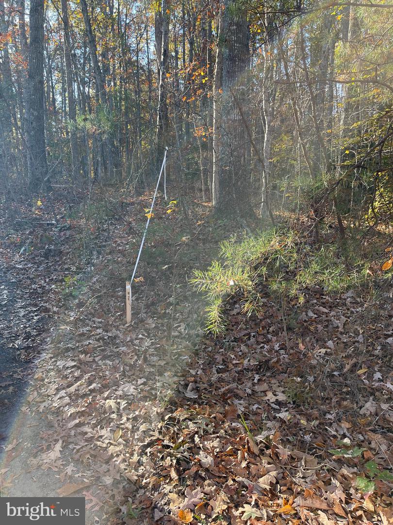 7120 DOMINIQUE DR, SPOTSYLVANIA, Virginia 22551, ,Land,For sale,7120 DOMINIQUE DR,VASP2034992 MLS # VASP2034992 7120 DOMINIQUE DR, SPOTSYLVANIA, Virginia 22551, ,Land,For sale,7120 DOMINIQUE DR,VASP2034992 MLS # VASP2034992