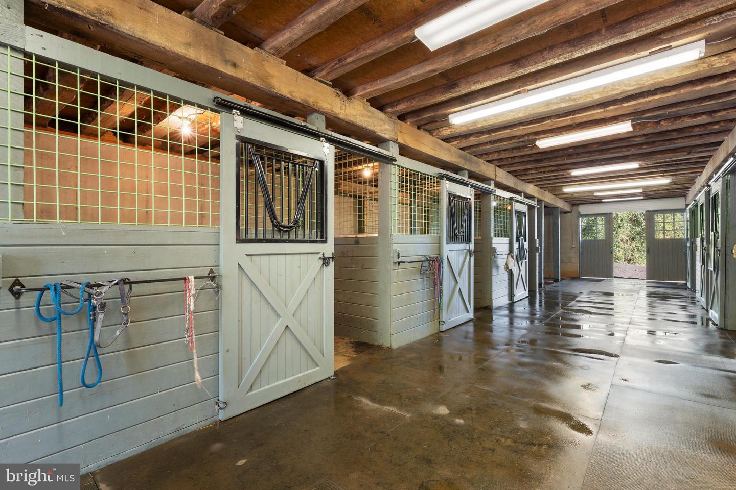 439 RUDASILL MILL RD, WOODVILLE, Virginia 22749, ,Farm,For sale,439 RUDASILL MILL RD,VARP2002422 MLS # VARP2002422 439 RUDASILL MILL RD, WOODVILLE, Virginia 22749, ,Farm,For sale,439 RUDASILL MILL RD,VARP2002422 MLS # VARP2002422