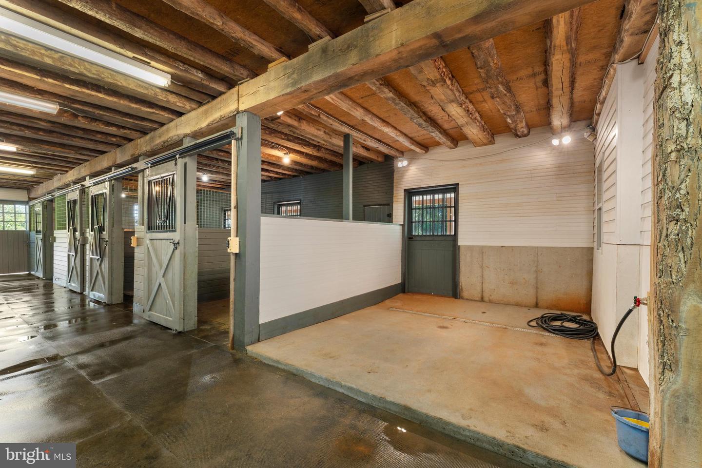 439 RUDASILL MILL RD, WOODVILLE, Virginia 22749, ,Farm,For sale,439 RUDASILL MILL RD,VARP2002422 MLS # VARP2002422 439 RUDASILL MILL RD, WOODVILLE, Virginia 22749, ,Farm,For sale,439 RUDASILL MILL RD,VARP2002422 MLS # VARP2002422