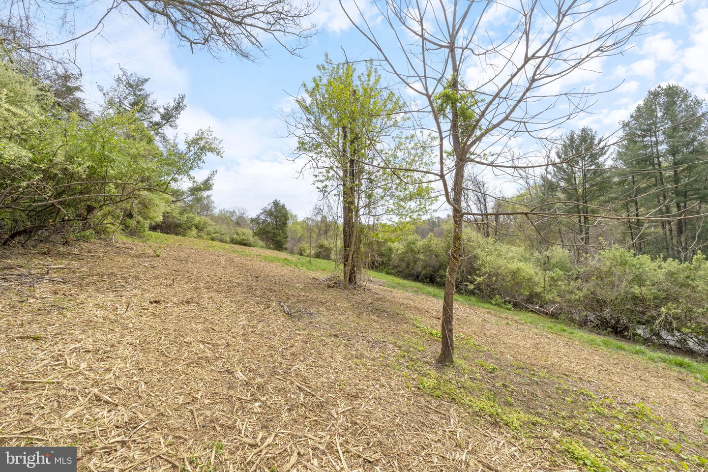 TBD LAKESIDE DR, CHARLOTTESVILLE, Virginia 22901, ,Land,For sale,TBD LAKESIDE DR,VAAB2001124 MLS # VAAB2001124