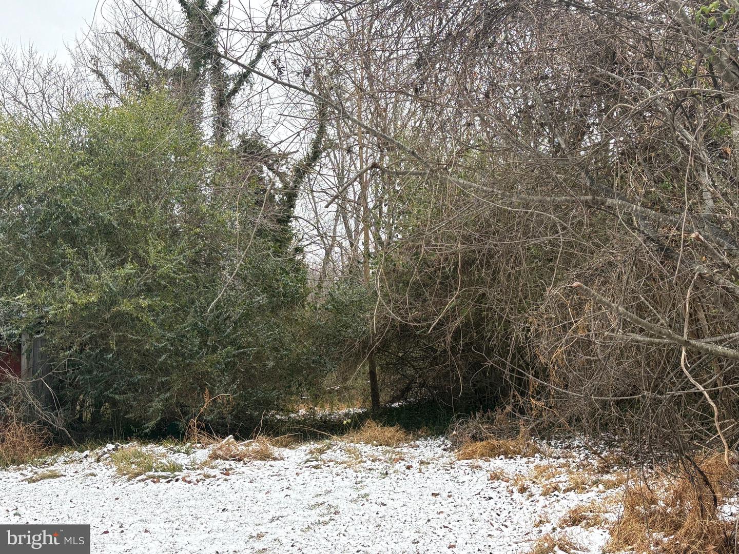 0 MAIN, MADISON, Virginia 22727, ,Land,For sale,0 MAIN,VAMA2002562 MLS # VAMA2002562 0 MAIN, MADISON, Virginia 22727, ,Land,For sale,0 MAIN,VAMA2002562 MLS # VAMA2002562