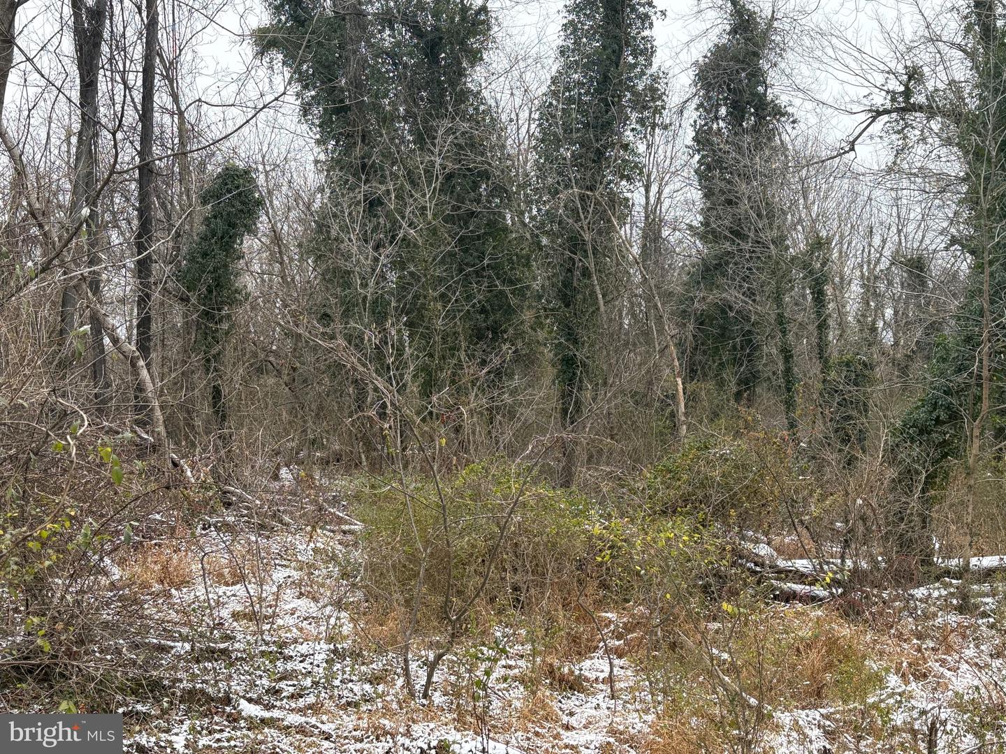 0 MAIN, MADISON, Virginia 22727, ,Land,For sale,0 MAIN,VAMA2002562 MLS # VAMA2002562 0 MAIN, MADISON, Virginia 22727, ,Land,For sale,0 MAIN,VAMA2002562 MLS # VAMA2002562