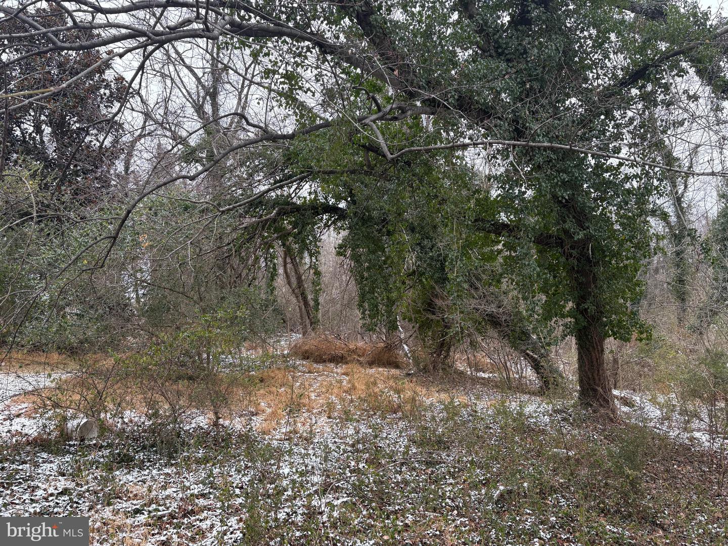 0 MAIN, MADISON, Virginia 22727, ,Land,For sale,0 MAIN,VAMA2002562 MLS # VAMA2002562 0 MAIN, MADISON, Virginia 22727, ,Land,For sale,0 MAIN,VAMA2002562 MLS # VAMA2002562