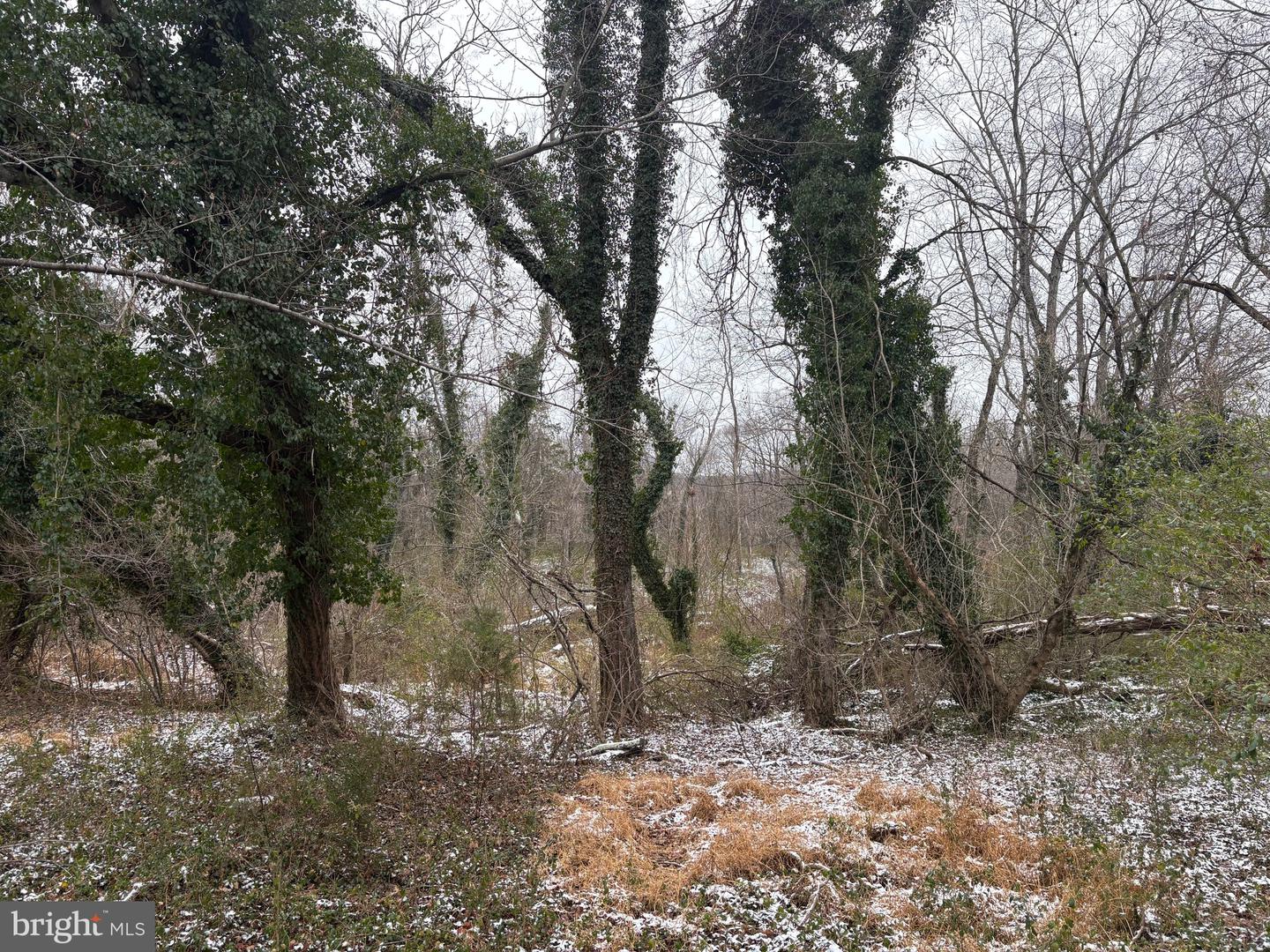 0 MAIN, MADISON, Virginia 22727, ,Land,For sale,0 MAIN,VAMA2002562 MLS # VAMA2002562 0 MAIN, MADISON, Virginia 22727, ,Land,For sale,0 MAIN,VAMA2002562 MLS # VAMA2002562