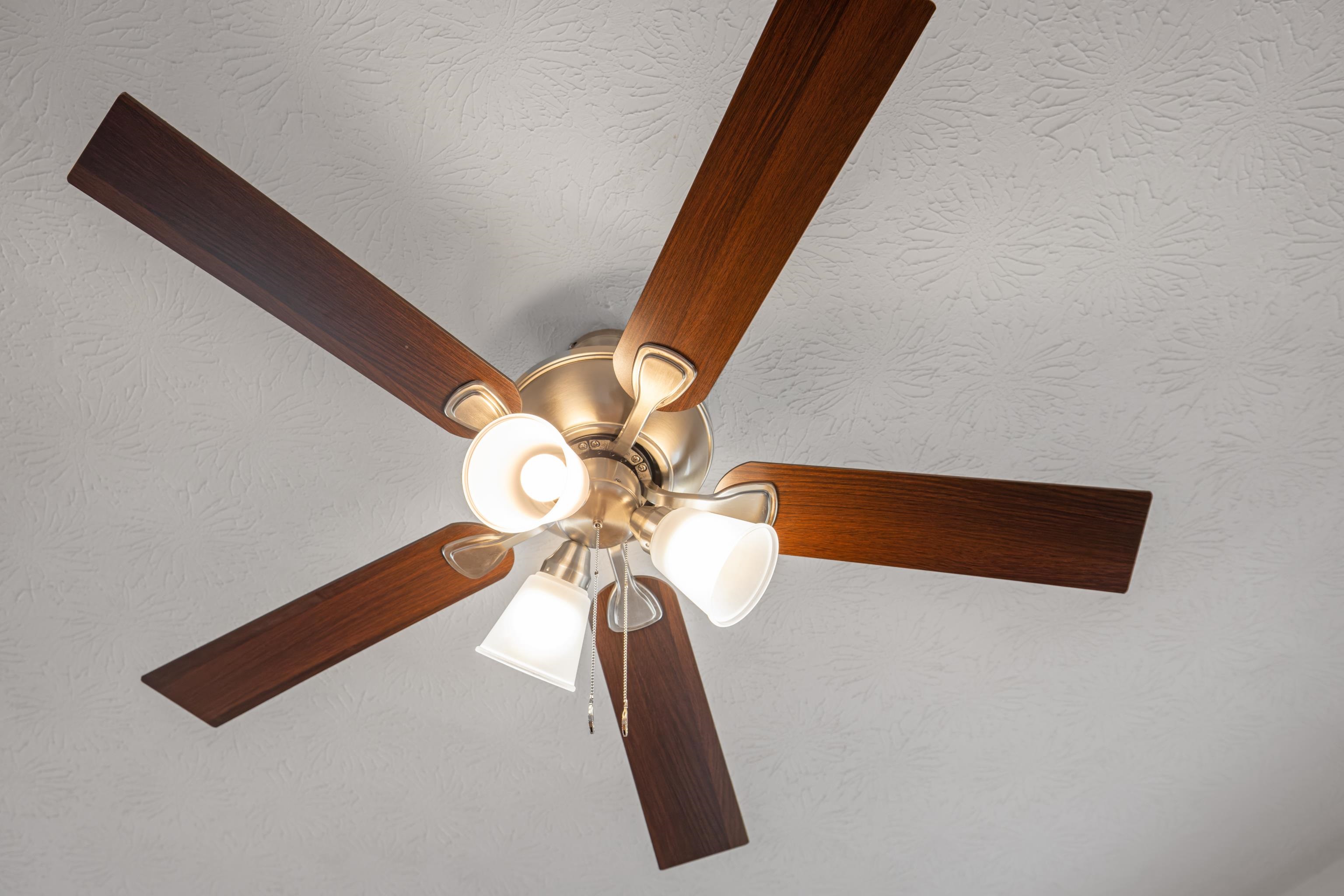 630 BATTLEFIELD RD, FORT DEFIANCE, Virginia 24437, 3 Bedrooms Bedrooms, ,3 BathroomsBathrooms,Residential,New Hope Farmhouse,630 BATTLEFIELD RD,664063 MLS # 664063 630 BATTLEFIELD RD, FORT DEFIANCE, Virginia 24437, 3 Bedrooms Bedrooms, ,3 BathroomsBathrooms,Residential,New Hope Farmhouse,630 BATTLEFIELD RD,664063 MLS # 664063