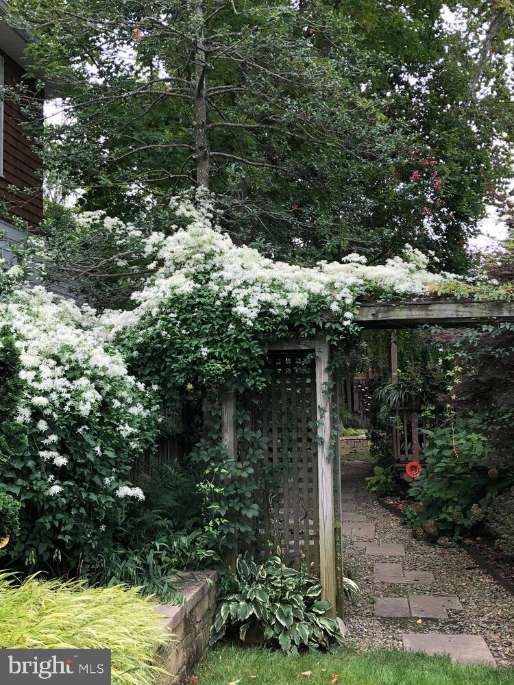 4114 EMERY PL NW, WASHINGTON, District Of Columbia 20016, 3 Bedrooms Bedrooms, ,2 BathroomsBathrooms,Residential,For sale,4114 EMERY PL NW,DCDC2223608 MLS # DCDC2223608 4114 EMERY PL NW, WASHINGTON, District Of Columbia 20016, 3 Bedrooms Bedrooms, ,2 BathroomsBathrooms,Residential,For sale,4114 EMERY PL NW,DCDC2223608 MLS # DCDC2223608