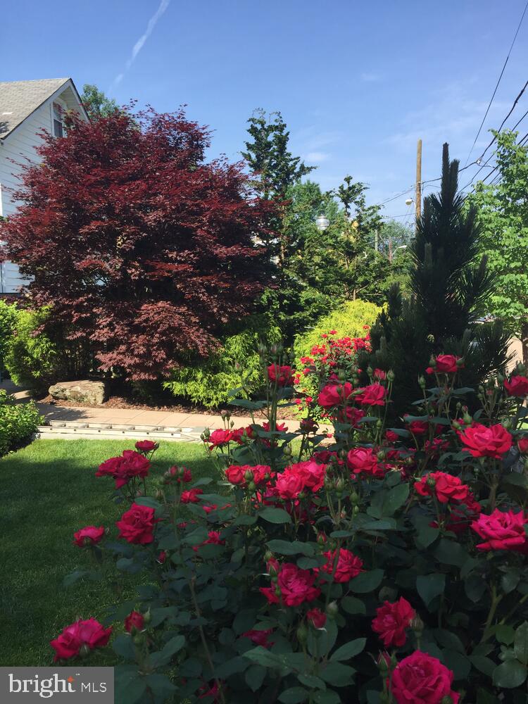 4114 EMERY PL NW, WASHINGTON, District Of Columbia 20016, 3 Bedrooms Bedrooms, ,2 BathroomsBathrooms,Residential,For sale,4114 EMERY PL NW,DCDC2223608 MLS # DCDC2223608 4114 EMERY PL NW, WASHINGTON, District Of Columbia 20016, 3 Bedrooms Bedrooms, ,2 BathroomsBathrooms,Residential,For sale,4114 EMERY PL NW,DCDC2223608 MLS # DCDC2223608