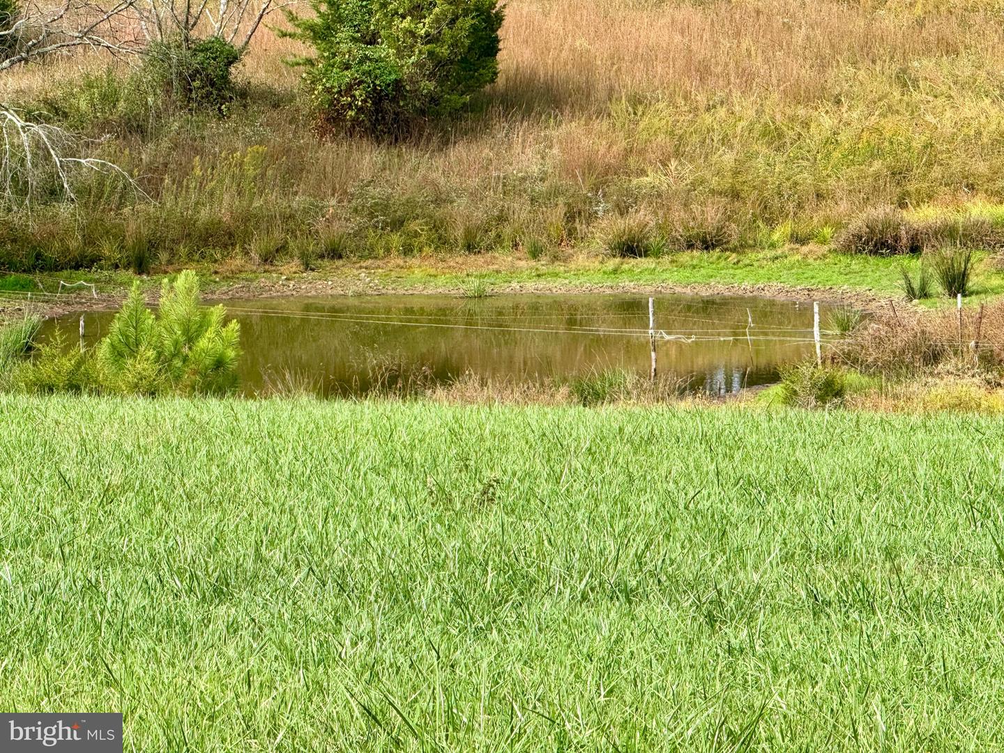 220 SNAPPY LN, WINCHESTER, Virginia 22602, 6 Bedrooms Bedrooms, ,4 BathroomsBathrooms,Residential,For sale,220 SNAPPY LN,VAFV2037326 MLS # VAFV2037326 220 SNAPPY LN, WINCHESTER, Virginia 22602, 6 Bedrooms Bedrooms, ,4 BathroomsBathrooms,Residential,For sale,220 SNAPPY LN,VAFV2037326 MLS # VAFV2037326