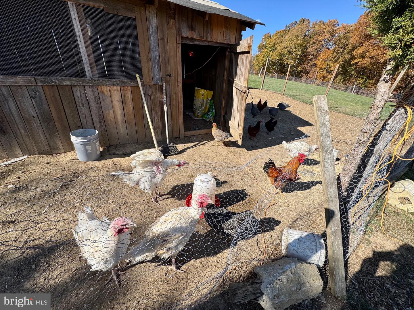 220 SNAPPY LN, WINCHESTER, Virginia 22602, 6 Bedrooms Bedrooms, ,4 BathroomsBathrooms,Residential,For sale,220 SNAPPY LN,VAFV2037326 MLS # VAFV2037326 220 SNAPPY LN, WINCHESTER, Virginia 22602, 6 Bedrooms Bedrooms, ,4 BathroomsBathrooms,Residential,For sale,220 SNAPPY LN,VAFV2037326 MLS # VAFV2037326