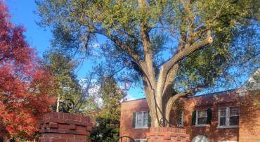 1729 N QUEENS LN N #1-116, ARLINGTON, Virginia 22201, 1 Bedroom Bedrooms, 2 Rooms Rooms,1 BathroomBathrooms,Residential,For sale,1729 N QUEENS LN N #1-116,VAAR2065884 MLS # VAAR2065884