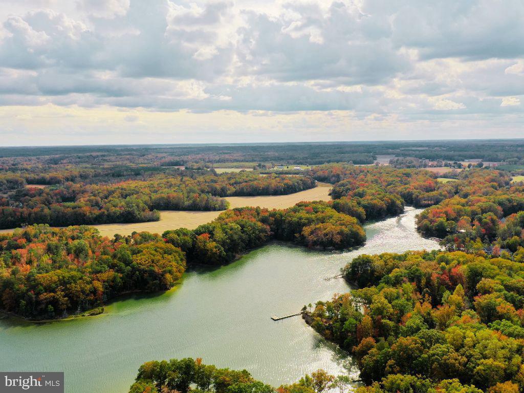 00 FOUNTAIN GATE RD, HEATHSVILLE, Virginia 22473, ,Land,For sale,00 FOUNTAIN GATE RD,VANV2001796 MLS # VANV2001796 00 FOUNTAIN GATE RD, HEATHSVILLE, Virginia 22473, ,Land,For sale,00 FOUNTAIN GATE RD,VANV2001796 MLS # VANV2001796